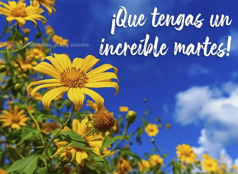 ¡Que tengas un increíble martes! 