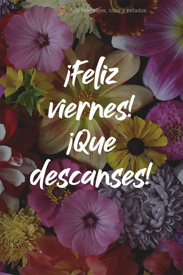 Boa Sexta-feira para você! Descanse bem!