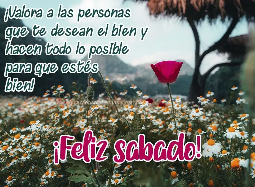 ¡Valora a las personas que te desean el bien y hacen todo lo posible para que estés bien! ¡Feliz sábado!
