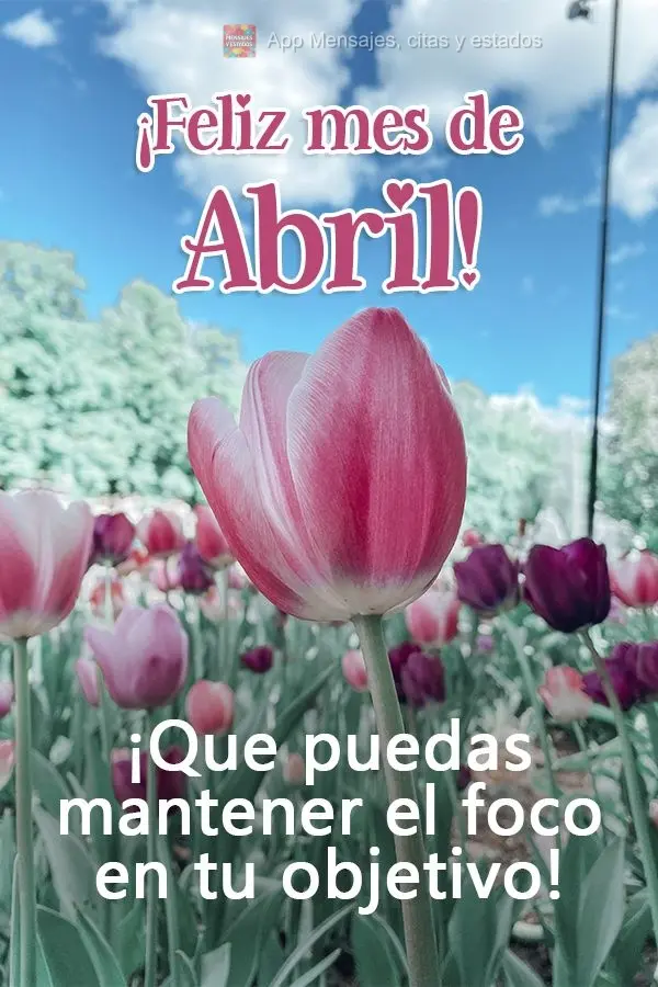 ¡Que puedas mantener el foco en tu objetivo! ¡Feliz mes de abril!