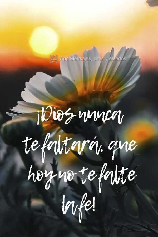 ¡Dios nunca te faltará, que hoy no te falte la fe!