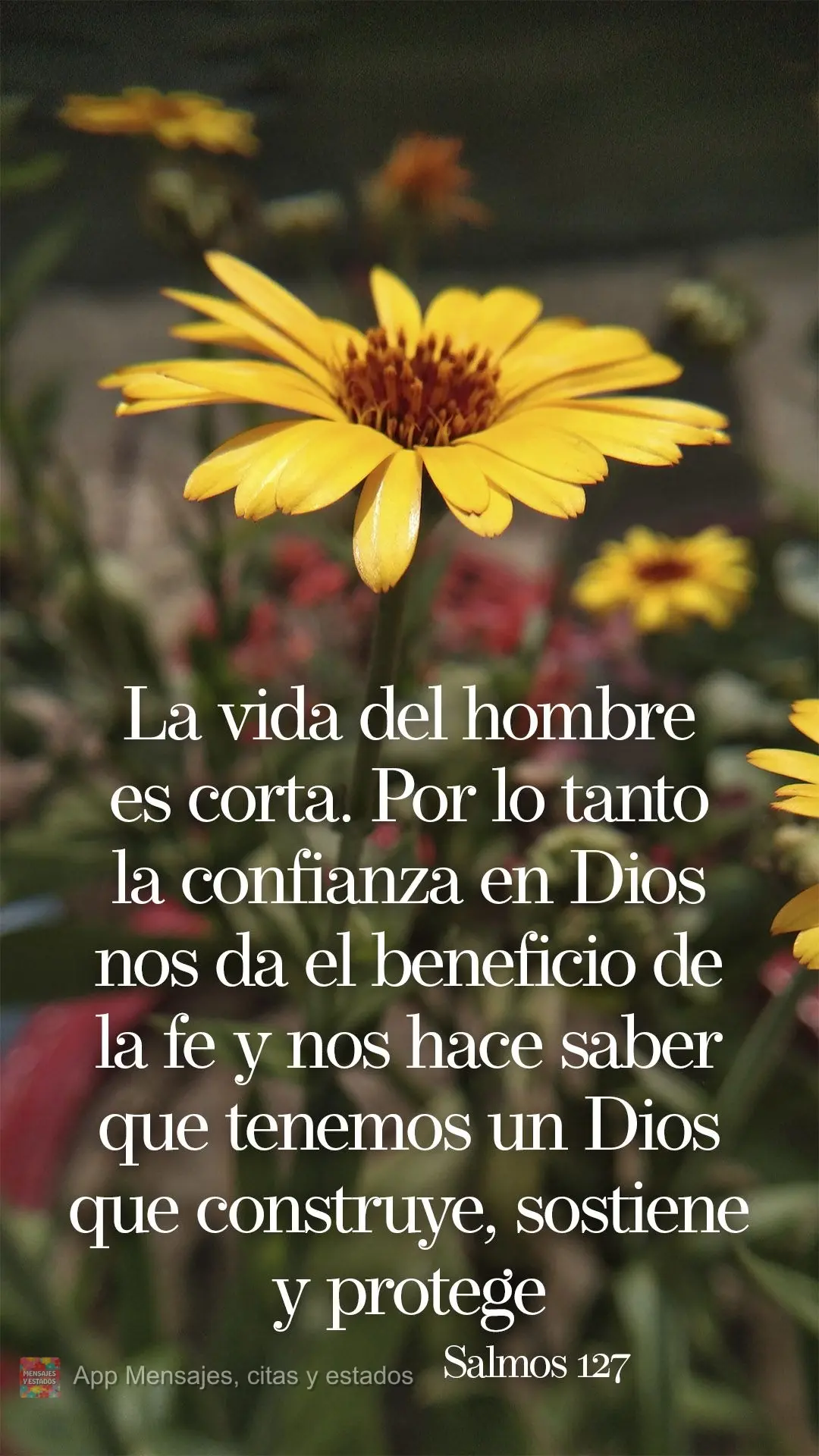 La vida del hombre es corta. Por lo tanto la confianza en Dios nos da el beneficio de la fe y nos hace saber que tenemos un Dios que construye, sostiene ...