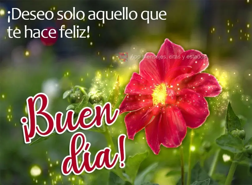 Desejo somente aquilo que te faz feliz! Bom dia! 