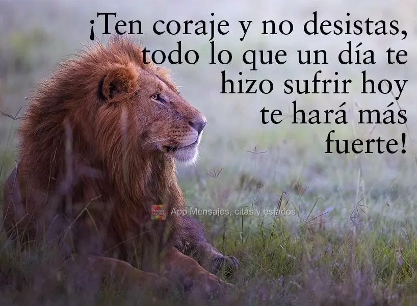 Tenha coragem e não desista, tudo que um dia nos fez sofrer, hoje nos faz forte!
