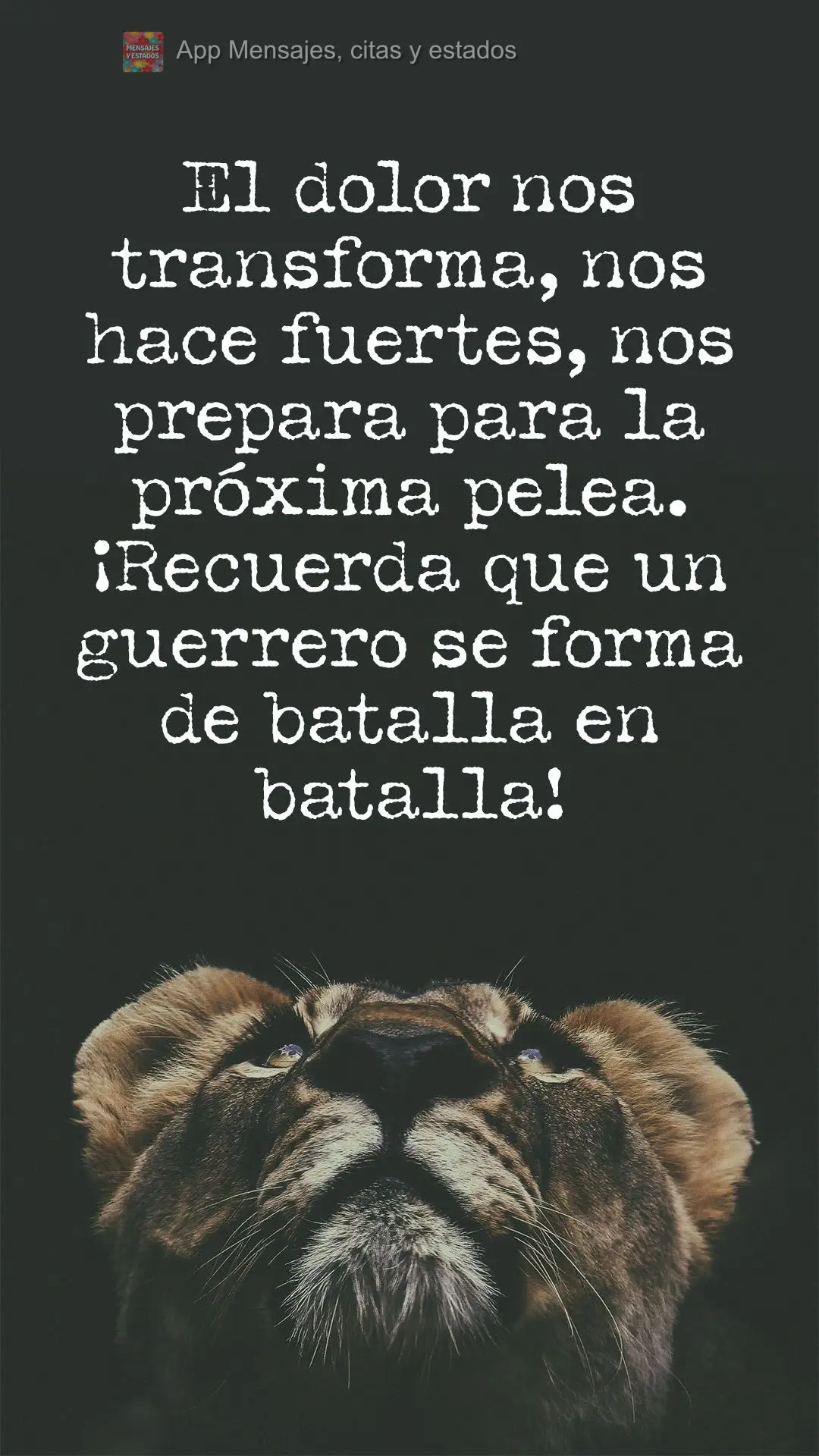 A dor nos transforma, nos faz fortes, nos deixa preparados para a próxima luta. E é de batalha em batalha que se forma um guerreiro!