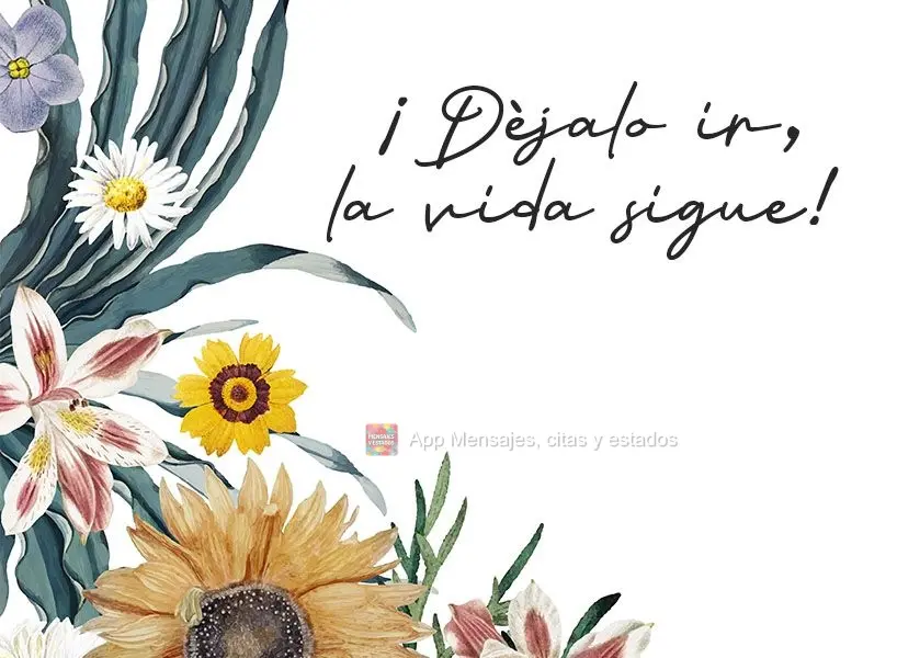 ¡Déjalo ir, la vida sigue!