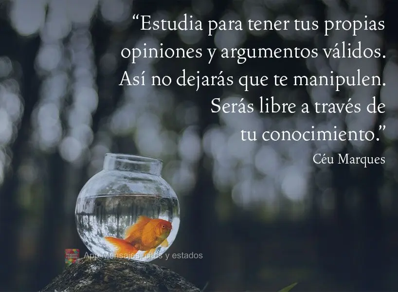“Estudia para tener tus propias opiniones y argumentos válidos. Así no dejarás que te manipulen. Serás libre a través de tu conocimiento ".  Céu ...