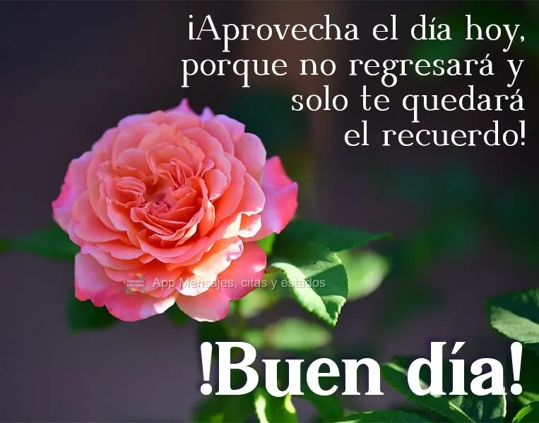 Aproveite o dia de hoje, pois ele não volta mais, e só nos restará lembranças! Bom dia! 