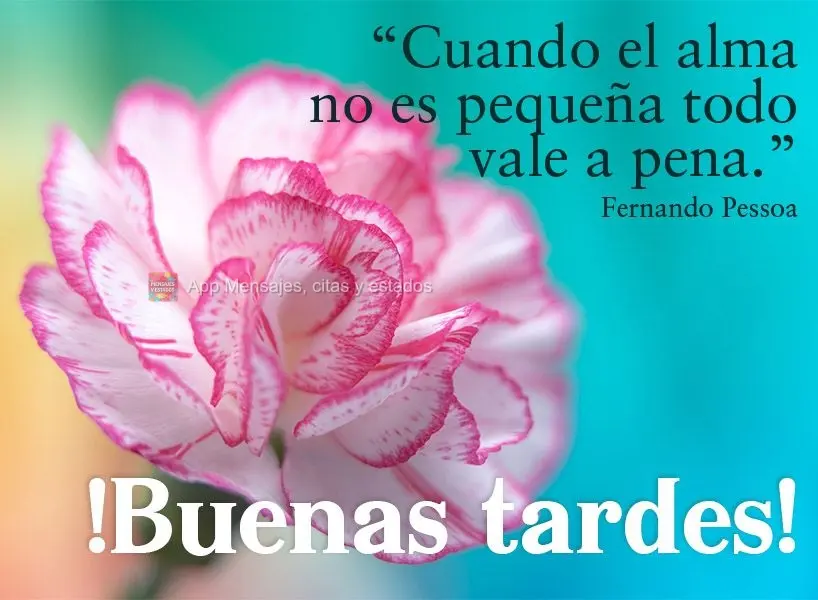 “Cuando el alma no es pequeña todo vale a pena” ¡Buenas tardes! Fernando Pessoa