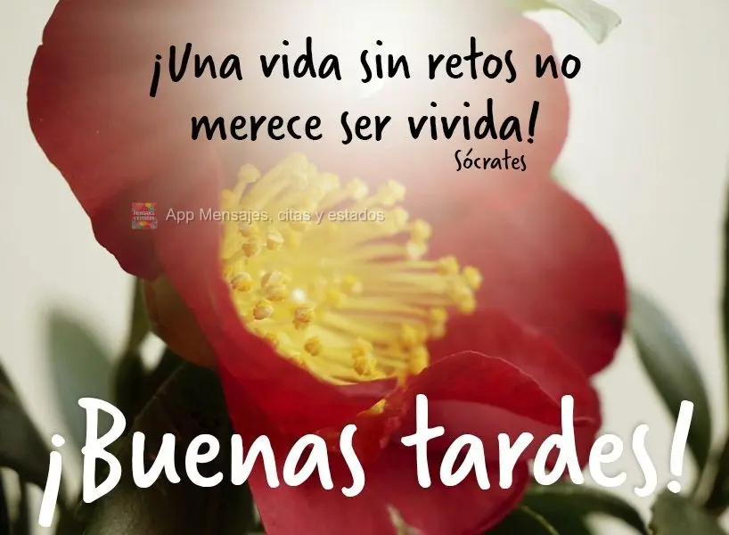 "Uma vida sem desafios não vale a pena ser vivida."  Boa tarde!  Sócrates