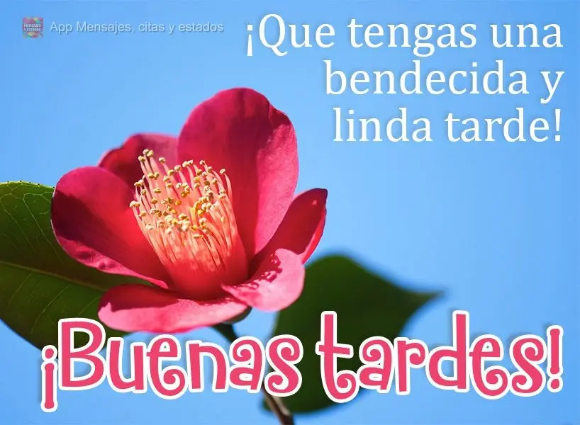 Que você tenha uma linda e abençoada tarde! Boa tarde! 