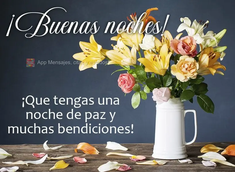 Que você tenha uma noite de paz e muitas bênçãos! Boa noite! 