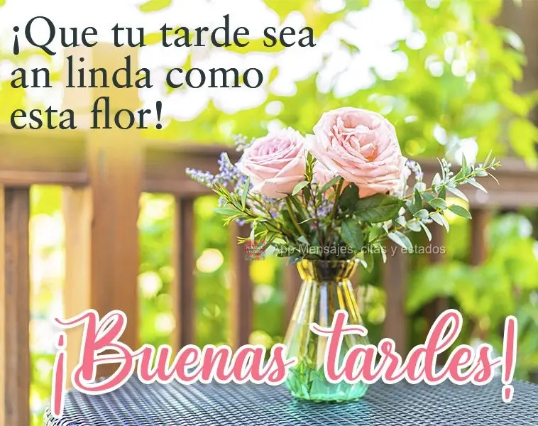 Que sua tarde seja tão linda quanto essa linda flor! Boa tarde! 