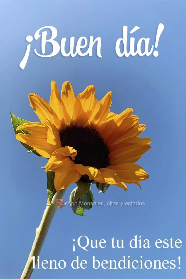 Que teu dia seja repleto de bênçãos! Bom dia! 