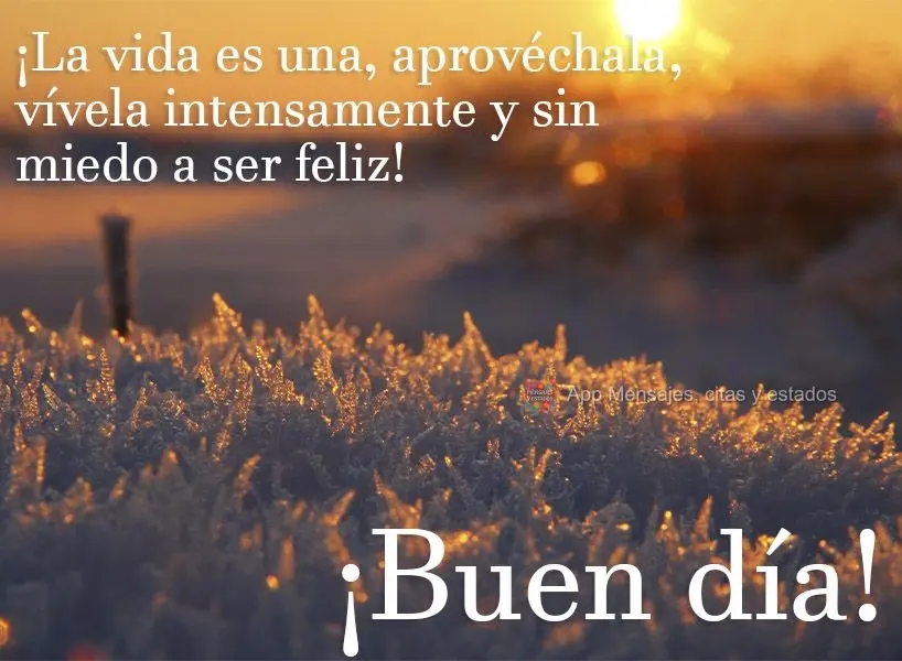 A vida é uma só, aproveite ao máximo, seja intenso e viva sem medo de ser feliz! Bom dia! 