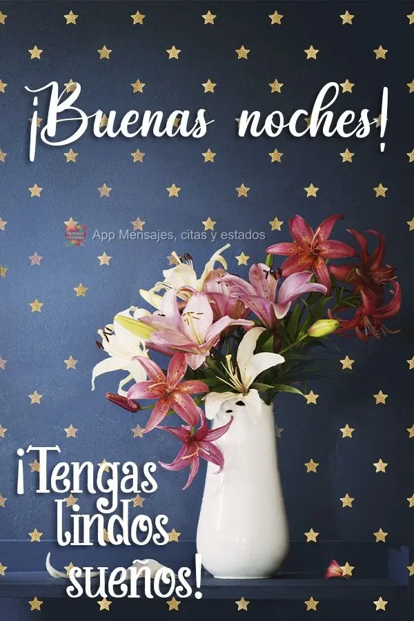 ¡Buenas noches! ¡Tenga lindos sueños!