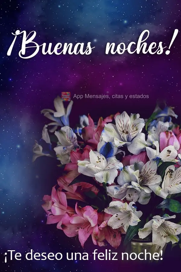 Desejo para você uma abençoada noite! Boa noite! 