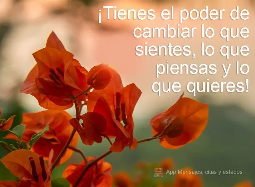 Você tem o poder de mudar aquilo que sente, o que pensa e o que quer para si!