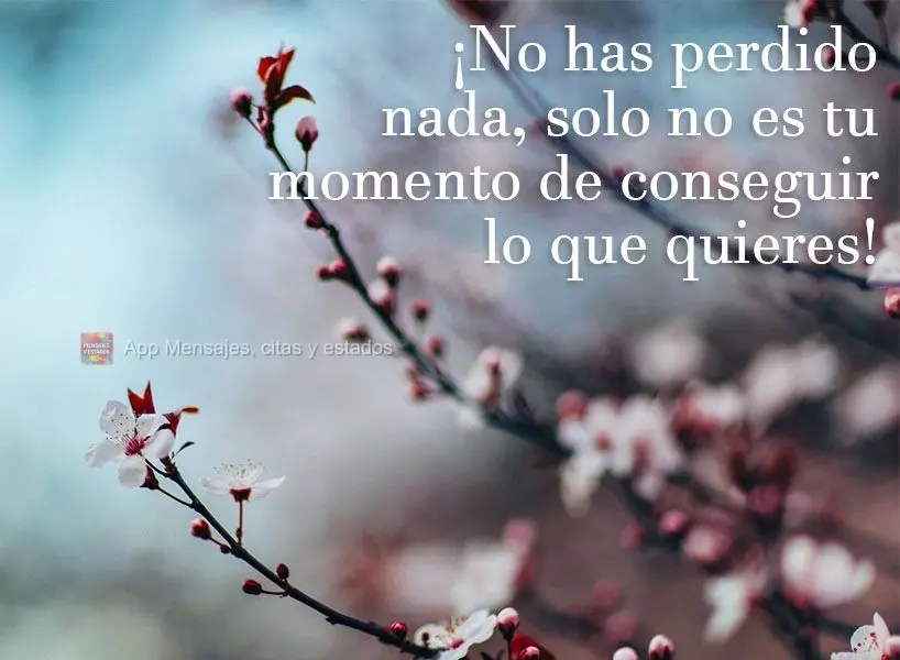 ¡No has perdido nada, solo no es tu momento de conseguir lo que quieres!