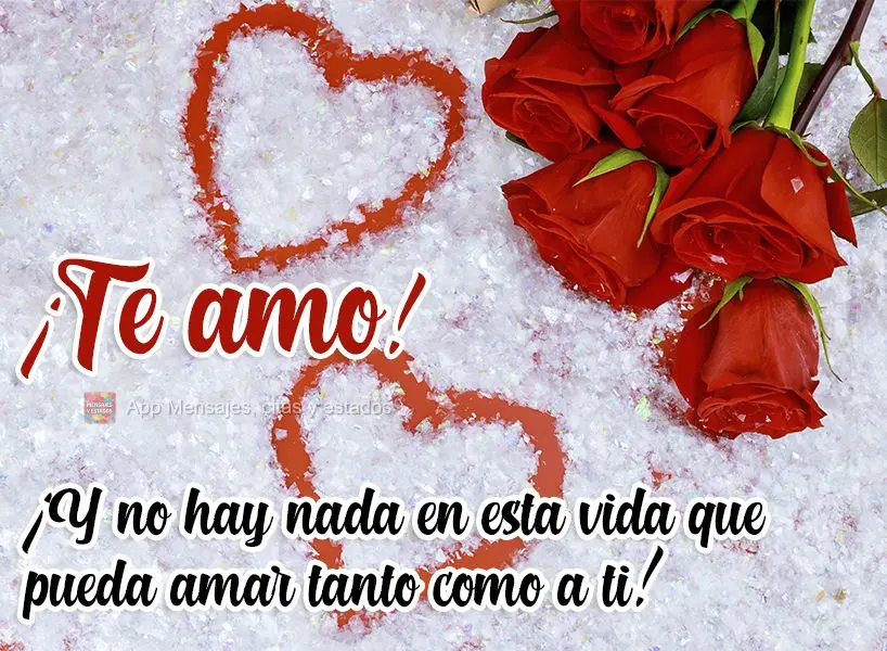 Eu te amo! E não há nada nesta vida que eu possa amar tanto quanto você!