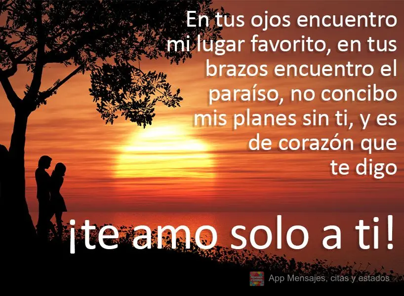 En tus ojos encuentro mi lugar favorito, en tus brazos encuentro el paraíso, no concibo mis planes sin ti, y es de corazón que te digo ¡te amo solo a ...