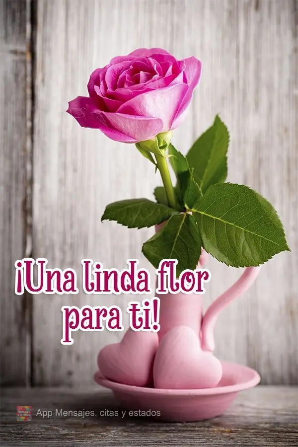 ¡Una linda flor para ti!