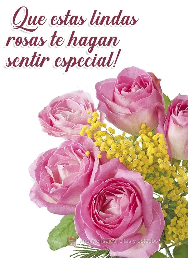¡Que estas lindas rosas te hagan sentir especial!