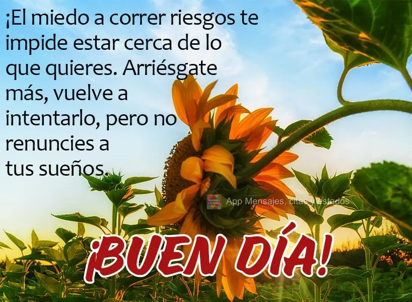 O medo de arriscar te impede de estar próximo daquilo que deseja. Arrisque-se mais, tente de novo, mas não desista dos seus sonhos! Bom dia! 