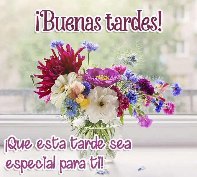 ¡Que esta tarde sea especial para ti! ¡Buenas tardes!