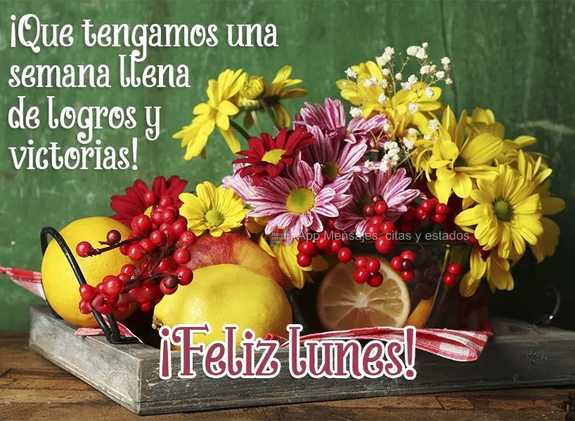 ¡Que tengamos una semana llena de logros y victorias! ¡Feliz lunes!