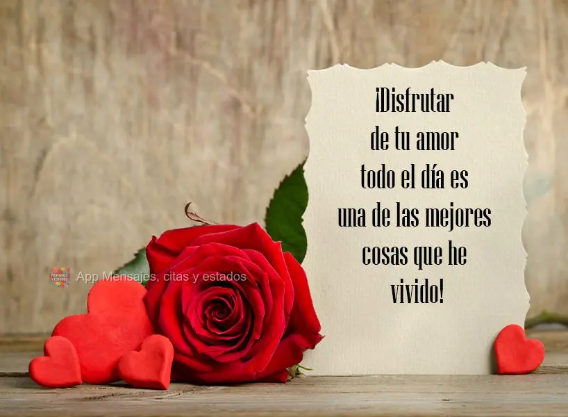 Ter o seu amor todo dia é uma das melhores coisas que já vivi!