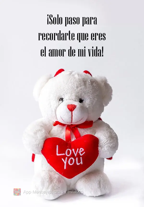 ¡Solo paso para recordarte que eres el amor de mi vida!