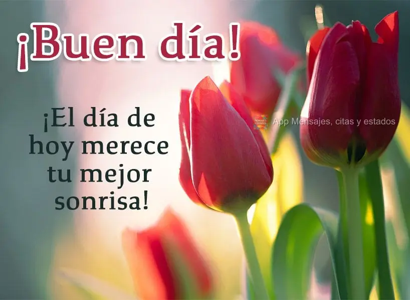 O dia de hoje merece seu melhor sorriso! Bom dia! 