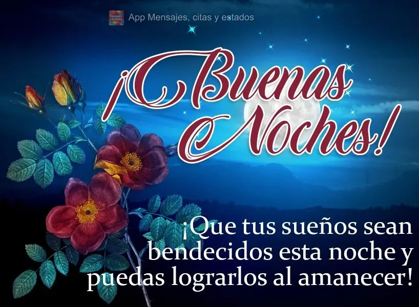 Que seus sonhos sejam abençoados nesta noite e se realizem ao amanhecer! Boa noite! 