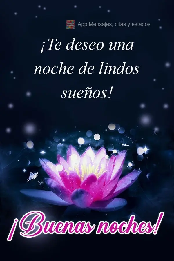 Desejo uma noite de lindos sonhos! Boa noite! 