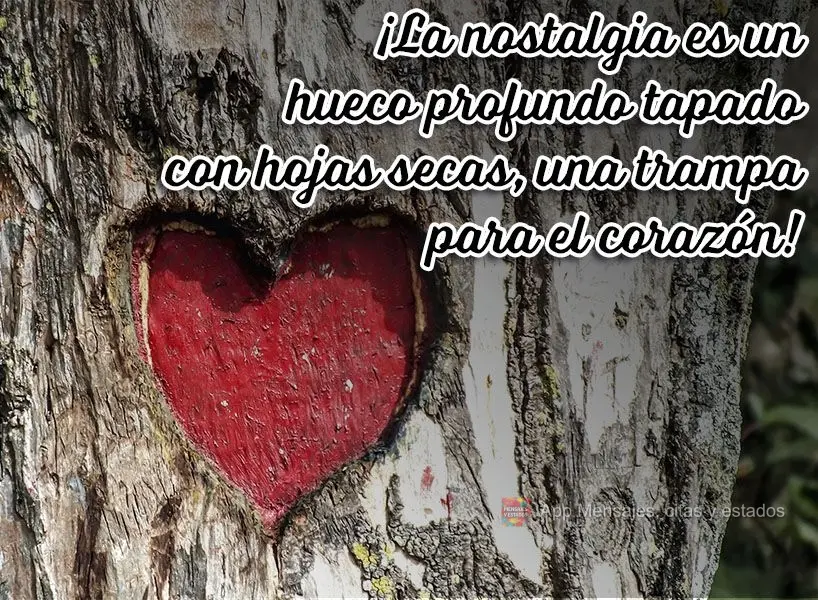 ¡La nostalgia es un hueco profundo tapado con hojas secas, una trampa para el corazón!