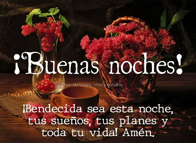 Abençoada seja esta noite, os seus sonhos, os seus planos e toda a sua vida. Amém! Boa noite! 