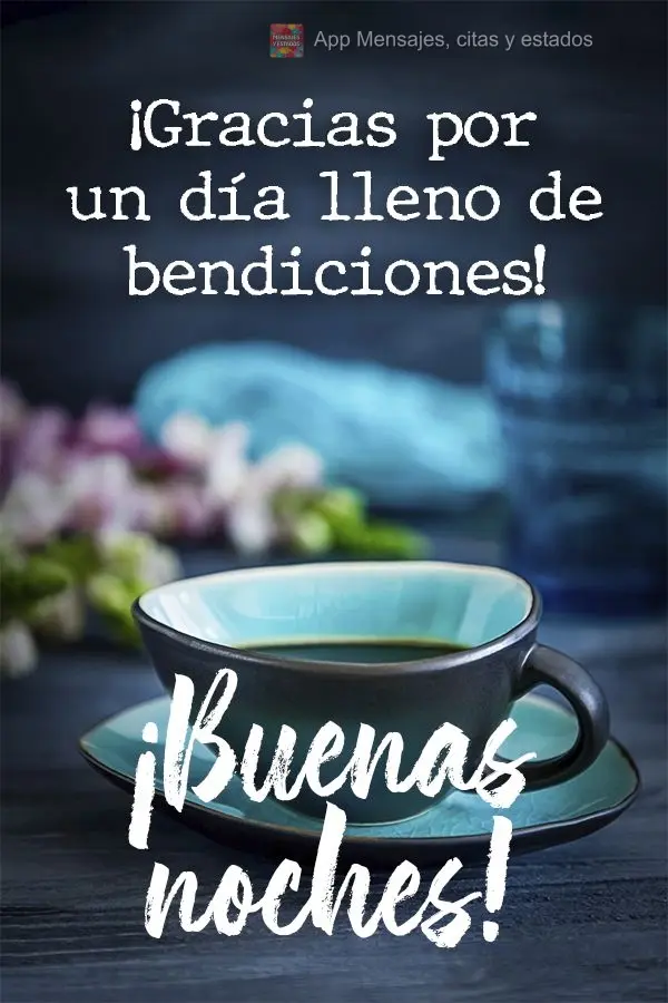 Gratidão por um dia cheio de bênção! Boa noite! 