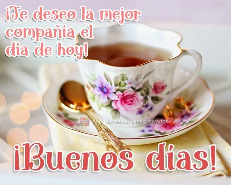 Desejo as melhores companhias no dia de hoje! Bom dia! 