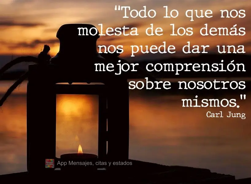 "Todo lo que nos molesta de los demás nos puede dar una mejor comprensión sobre nosotros mismos."  Carl Jung