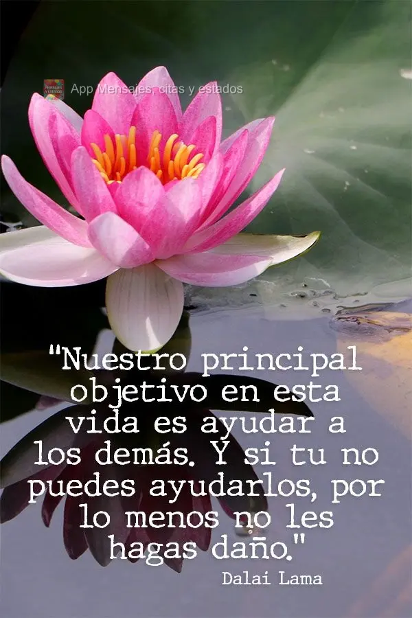 "Nuestro principal objetivo en esta vida es ayudar a los demás. Y si tu no puedes ayudarlos, por lo menos no les hagas daño." Dalai Lama