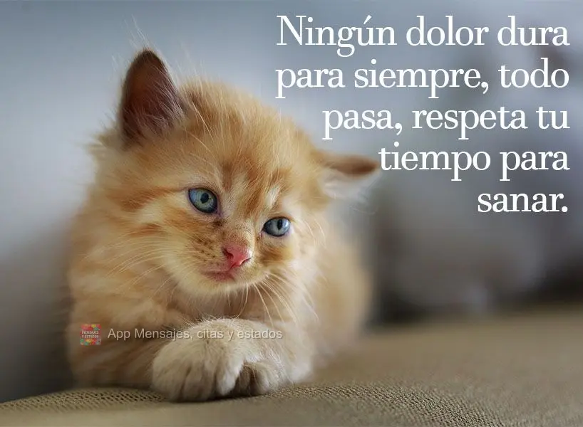 Nenhuma dor dura para sempre, tudo passa, apenas respeite o seu tempo de ir embora.