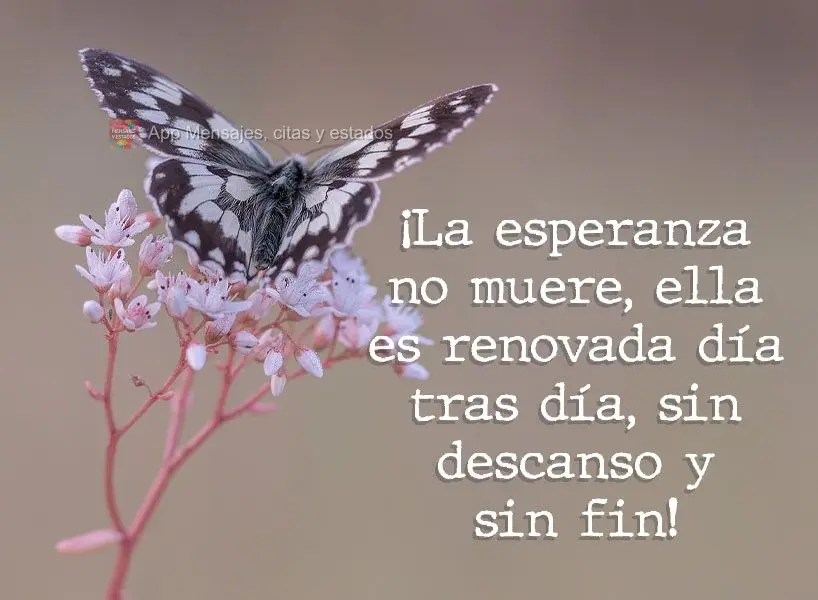 A esperança não morre, ela é renovada dia após dia, sem recesso e sem fim!