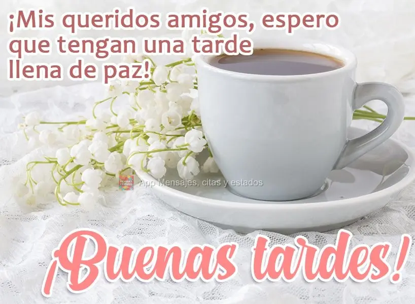 Meus queridos amigos, espero que todos tenham uma tarde de paz! Boa tarde! 