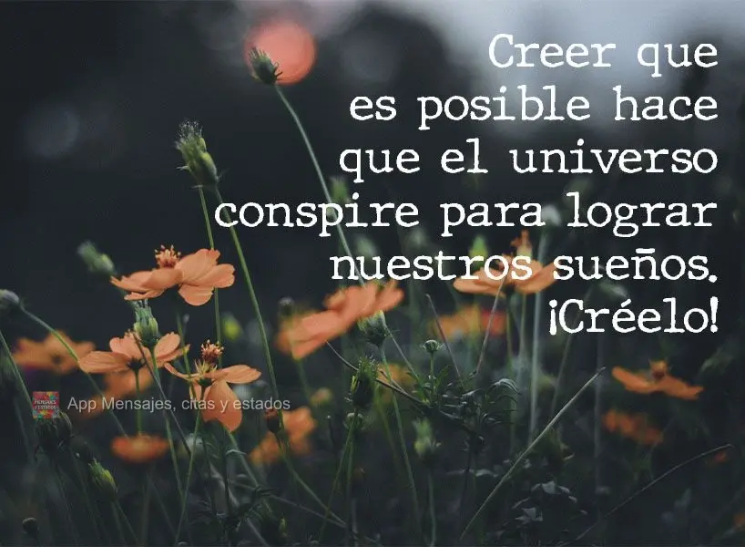 Acreditar que é possível faz o universo trabalhar para realizar seu sonho. Acredite!