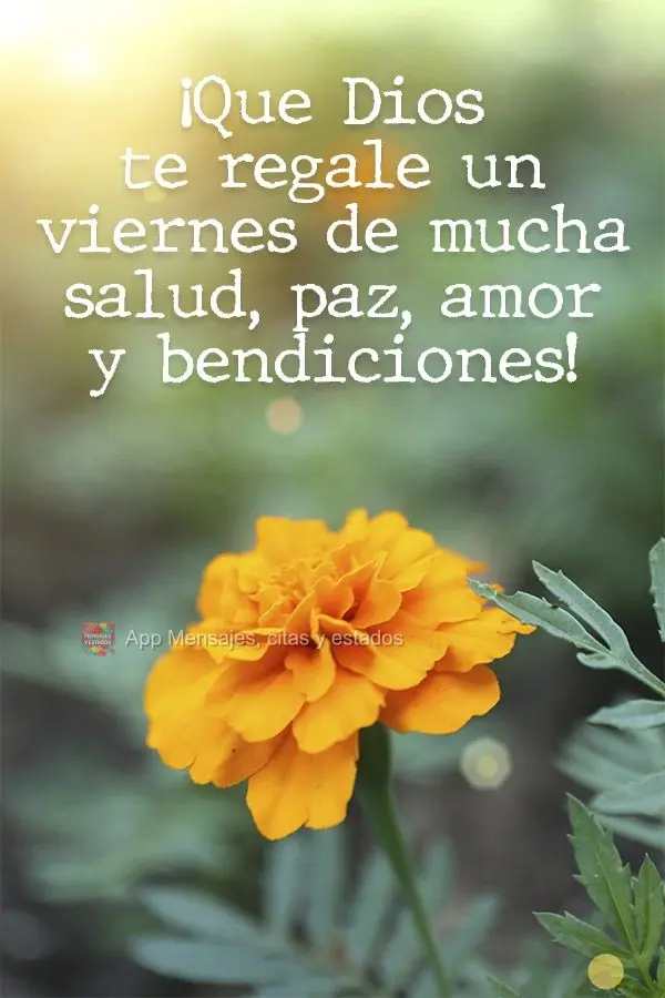 ¡Que Dios te regale un viernes de mucha salud, paz, amor y bendiciones!