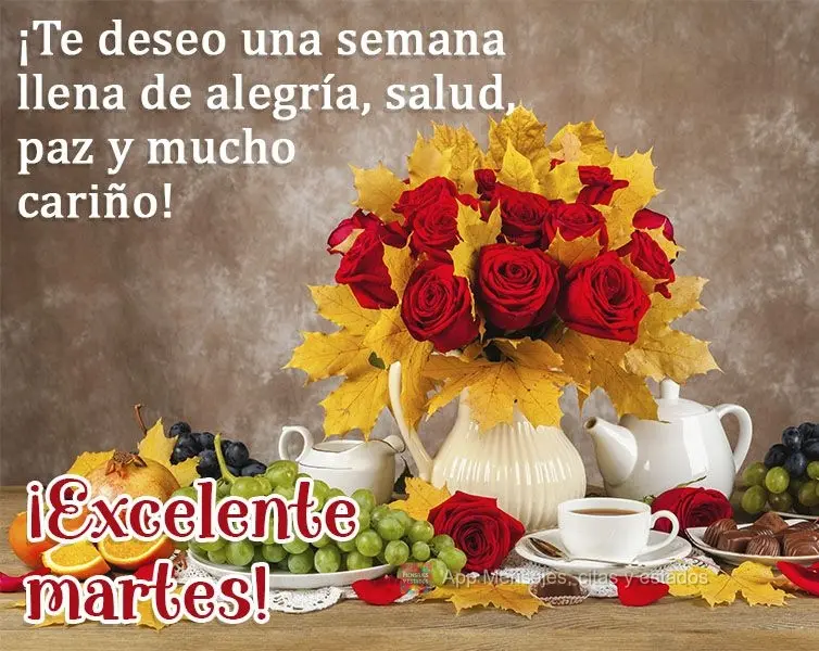 ¡Te deseo una semana llena de alegría, salud, paz y mucho cariño! ¡Excelente Lunes!