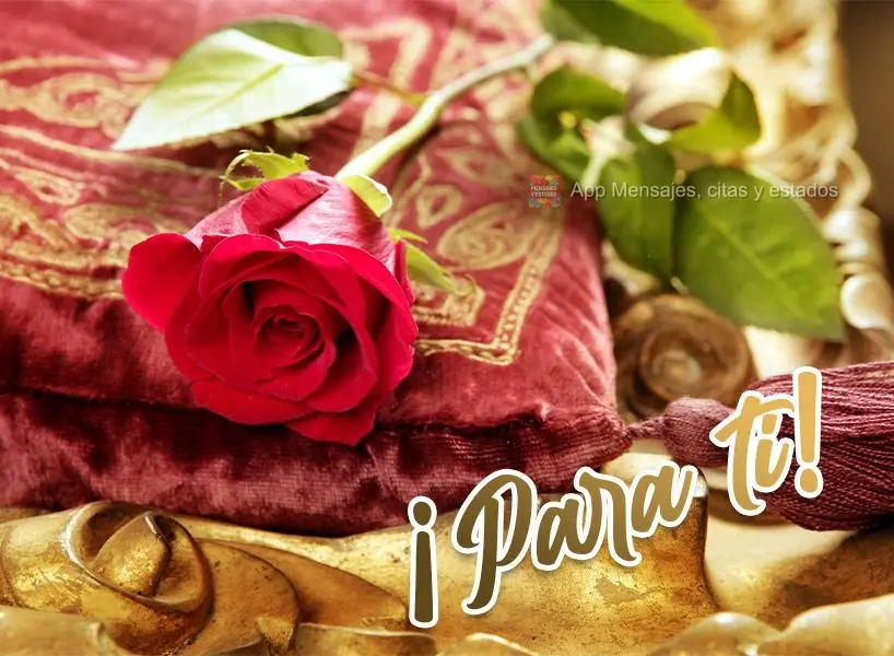 ¡Para ti!