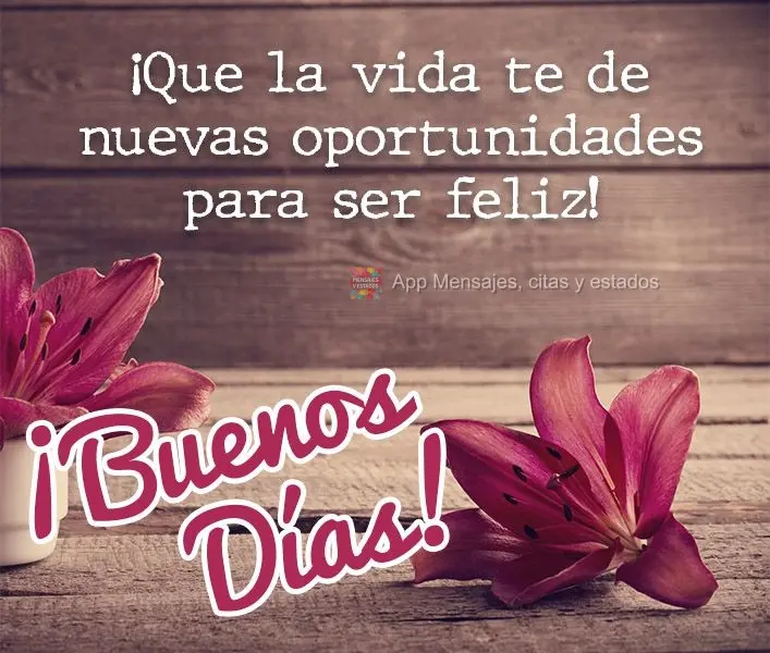 Que a vida lhe dê novas oportunidades de ser feliz! Bom dia! 