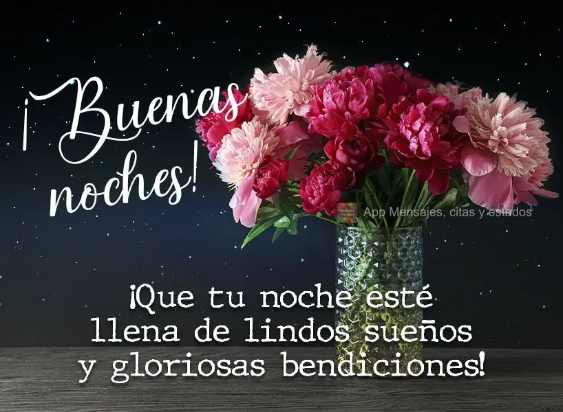 Que sua noite seja de lindos sonhos e gloriosas bênçãos!  Boa noite!